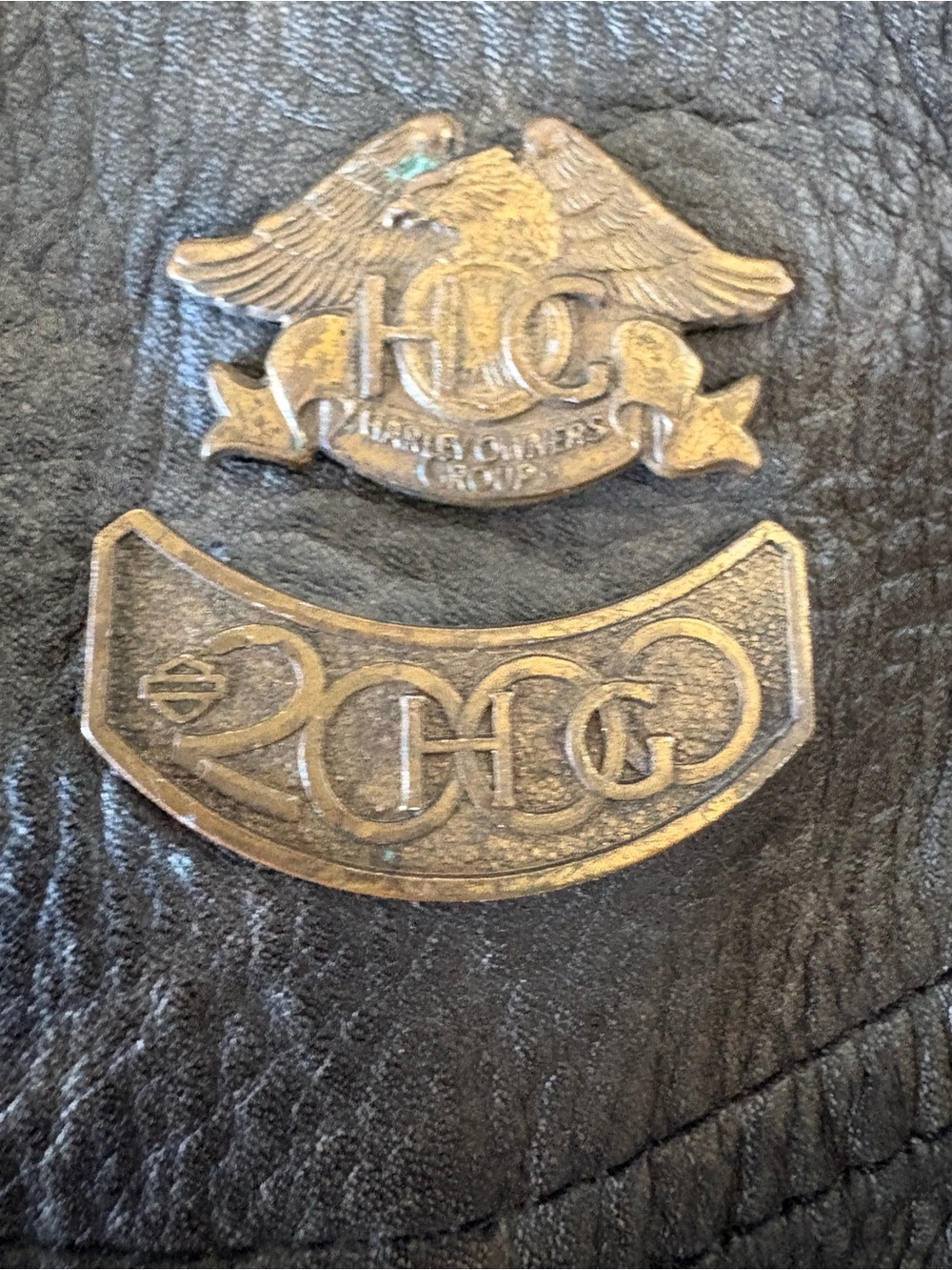 RARE HOG Harley Davidson Owners Group Notched Pin Set Eagle Lot